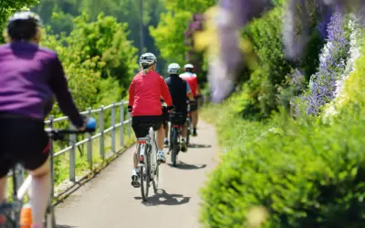Fahrradtransport mit Charly`s Citycar ® – Flexible Transportlösungen in Koblenz
