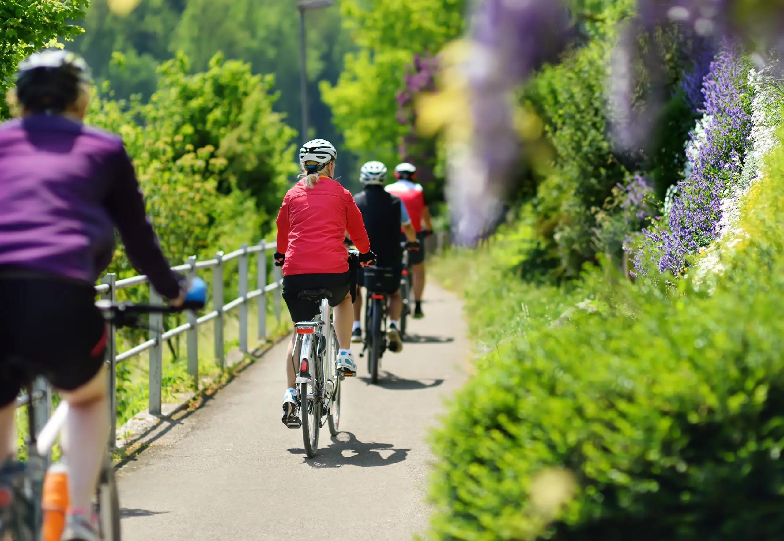 Gruppe von Fahrradfahrern von hinten, die im Sommer eine Radtour machen
